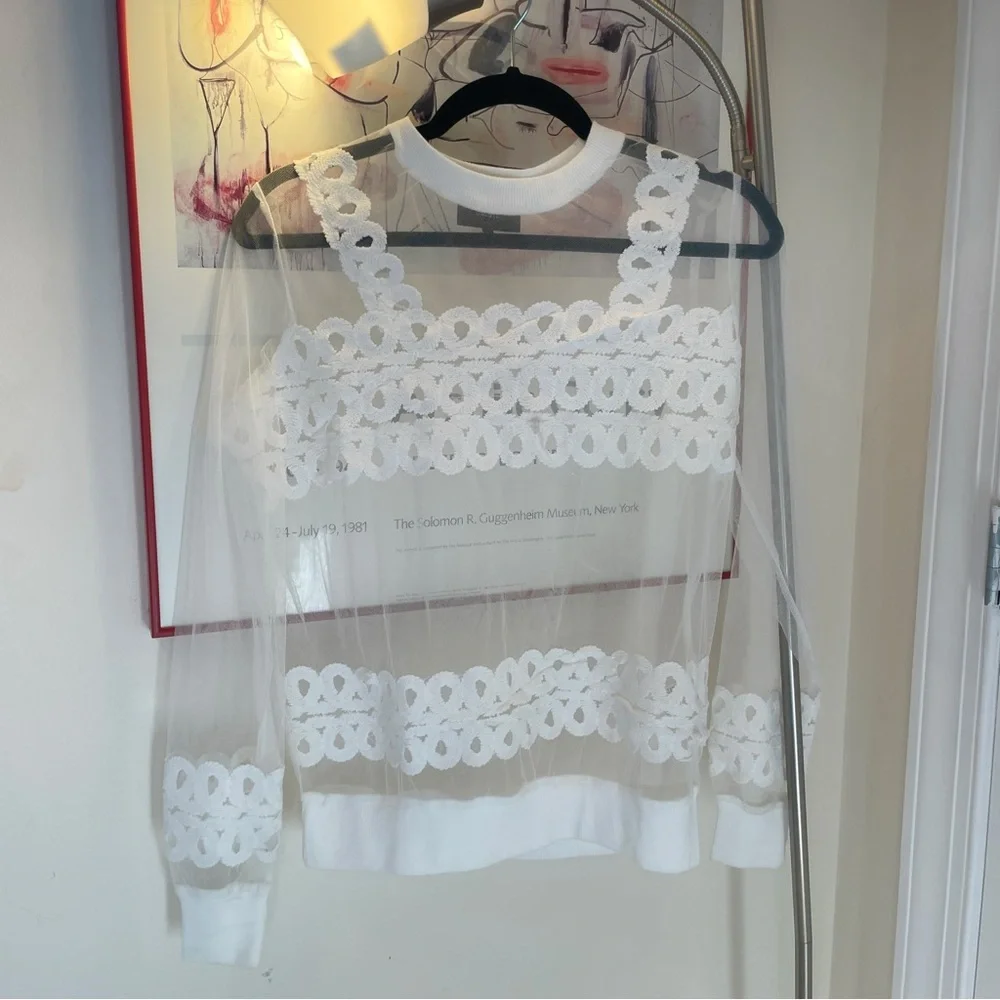 Mesh Embroidered Sweater - Picture 1 of 4